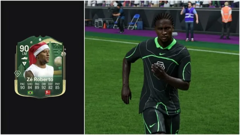 Solution DCE ZE ROBERTO Winter Wildcards pas chère