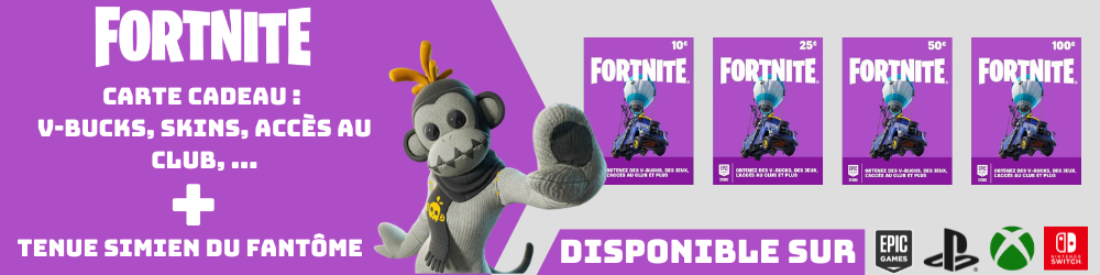 acheter carte cadeau fortnite en ligne