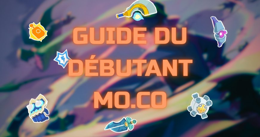 GUIDE-DU-Debutant-mo.co_