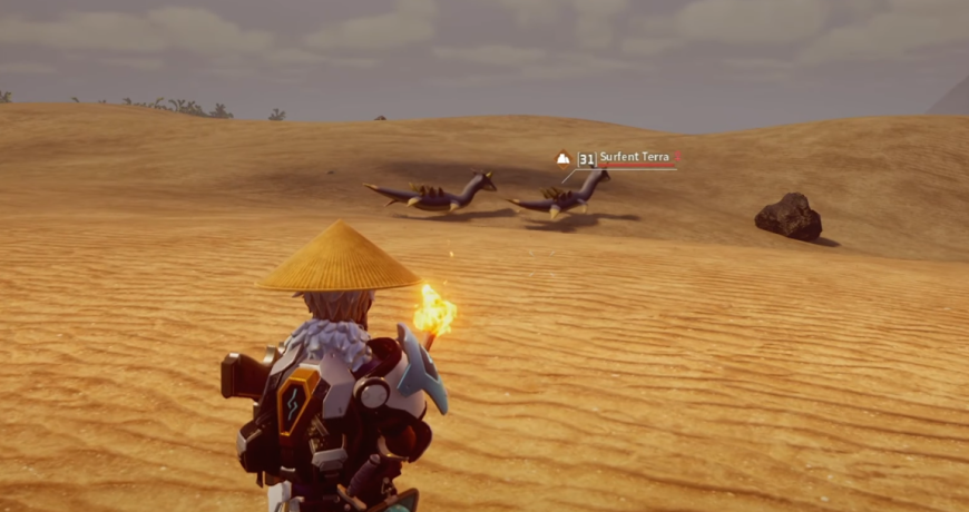 Surffent-terra-emplacement.jpg