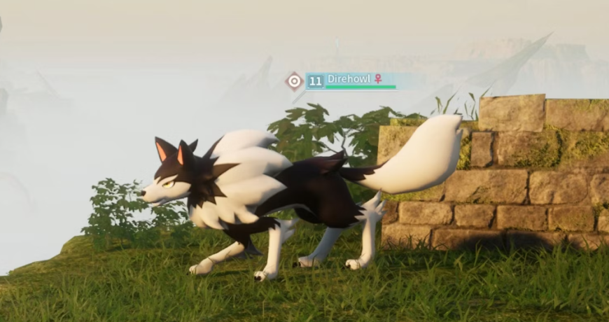 emplacement-direhowl.jpg