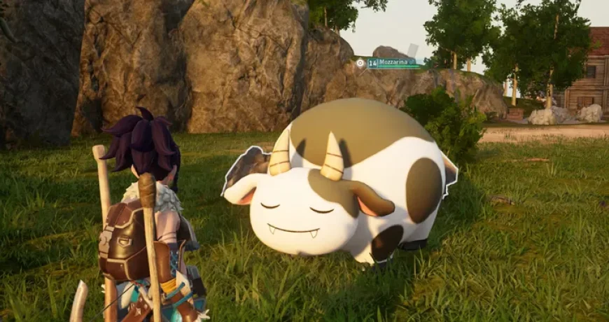 mozzarina-emplacement-2