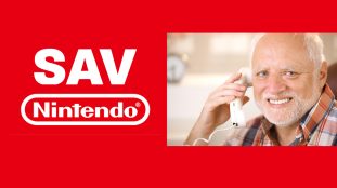 sav-nintendo